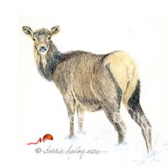 Christmas Elk
