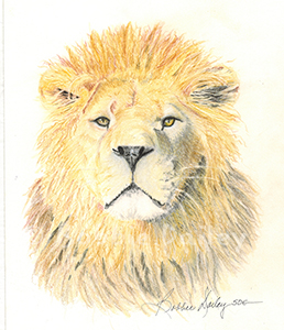 lion of Judah